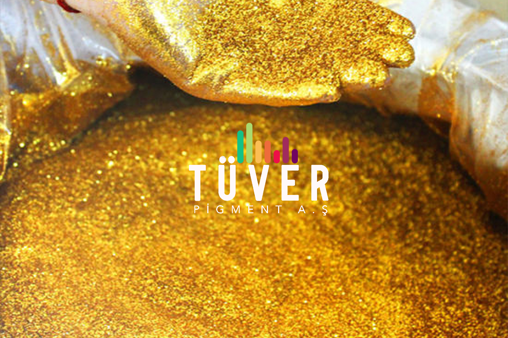 KW-353 Altın Sedef (10/100) Resmi